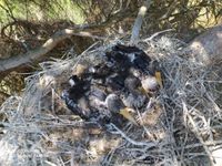 WhatsApp Image 2020-07-03 at 13.22.06 (Mediano)