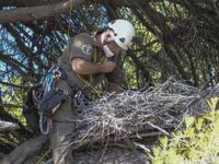 _7030023_result (Mediano)